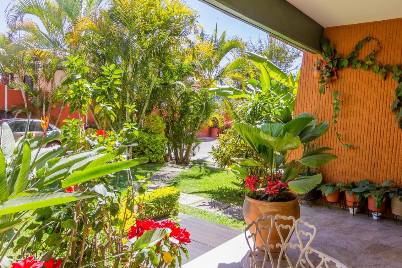 Casa De Las Palmas Guest House Oaxaca Eksteriør bilde