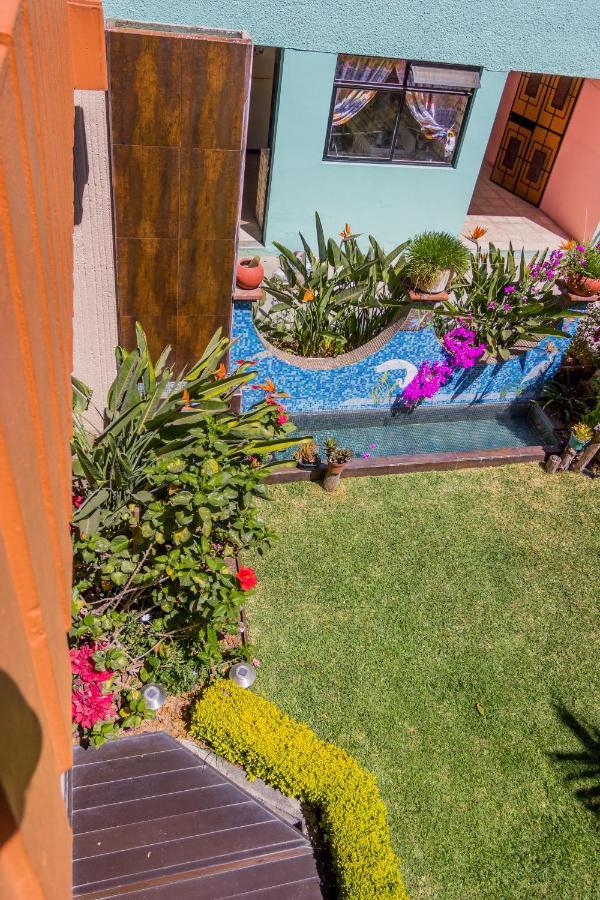 Casa De Las Palmas Guest House Oaxaca Eksteriør bilde