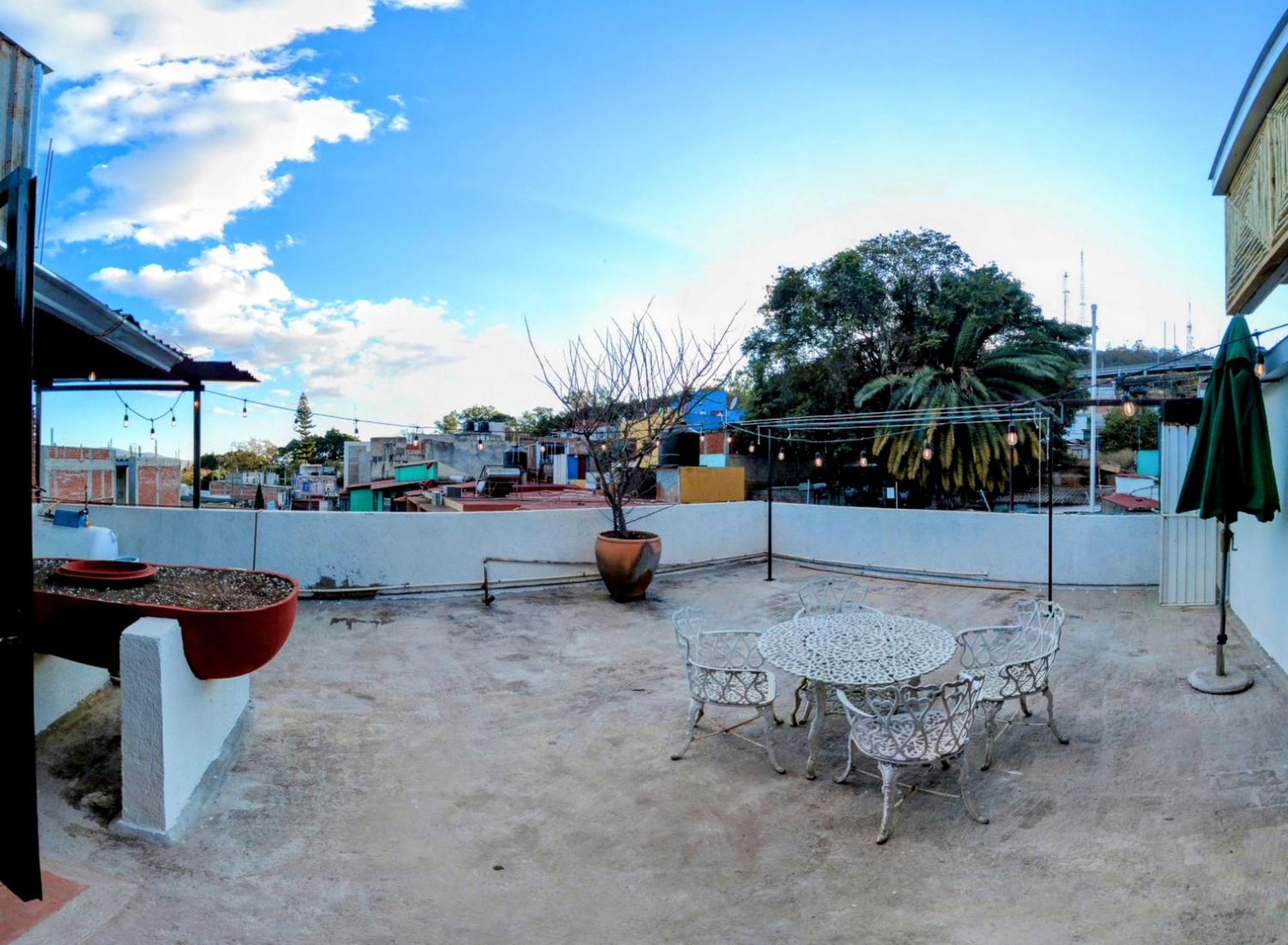 Casa De Las Palmas Guest House Oaxaca Eksteriør bilde