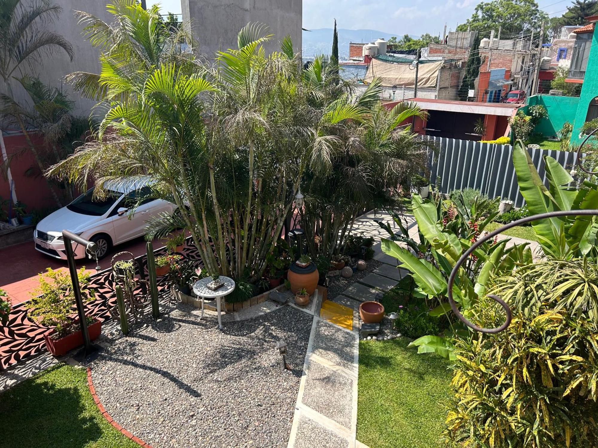 Casa De Las Palmas Guest House Oaxaca Eksteriør bilde